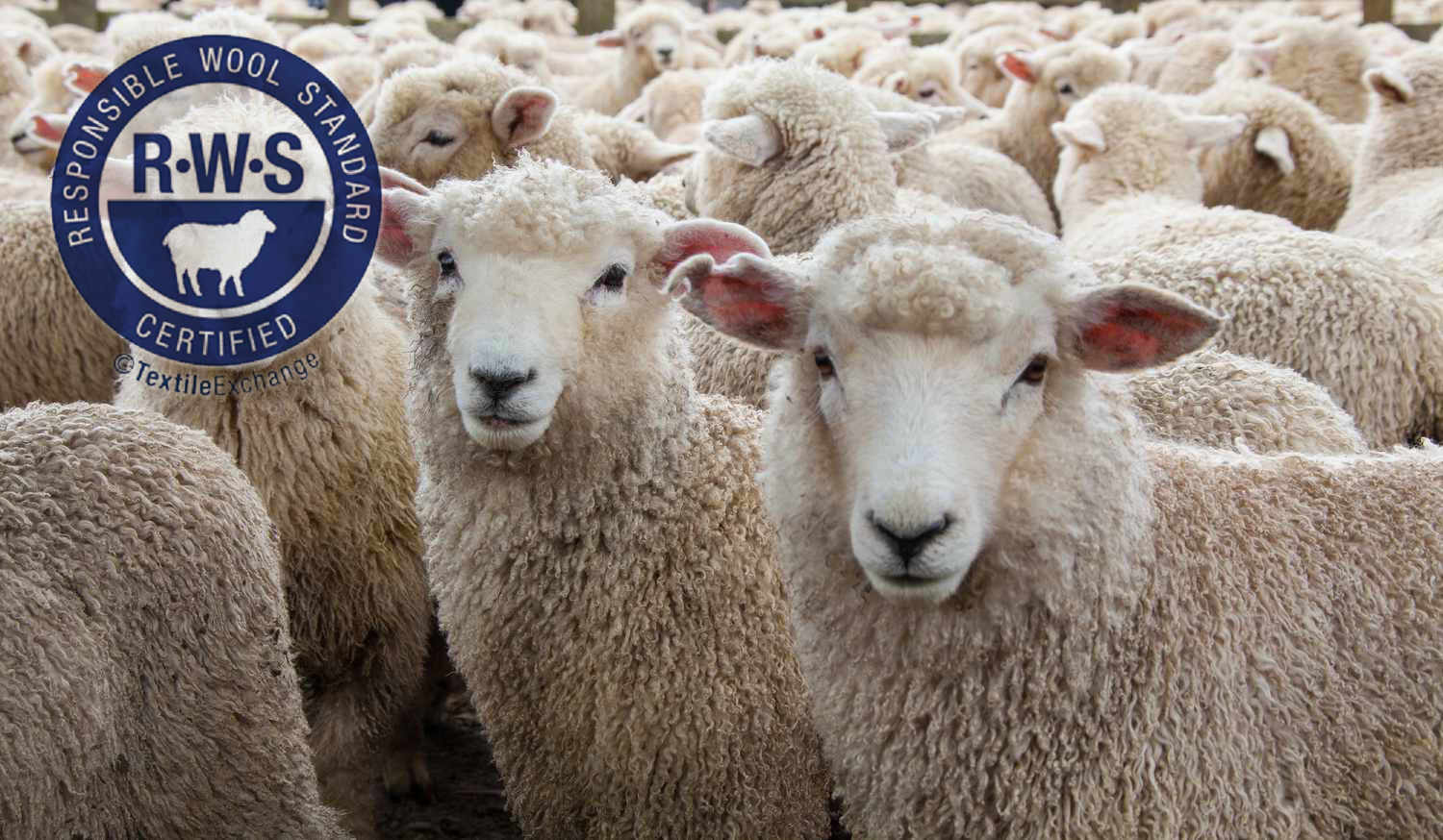 Medieval Methods for Making Fabric From Wool.jpg Medieval Methods for Making Fabric From Wool.jpg